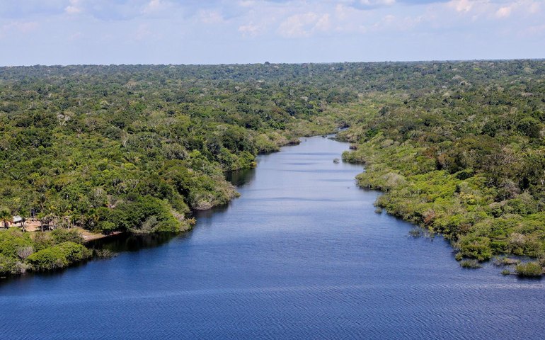 Análise: decisões dos países amazônicos serão frustradas por modelo de desenvolvimento consumista