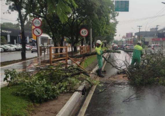 Prefeitura de Maceió realiza ações contra transtornos em decorrência das fortes chuvas