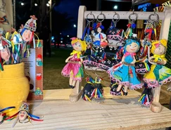 WhatsApp Image 2026-02-04 at 11.03.23.jpeg 