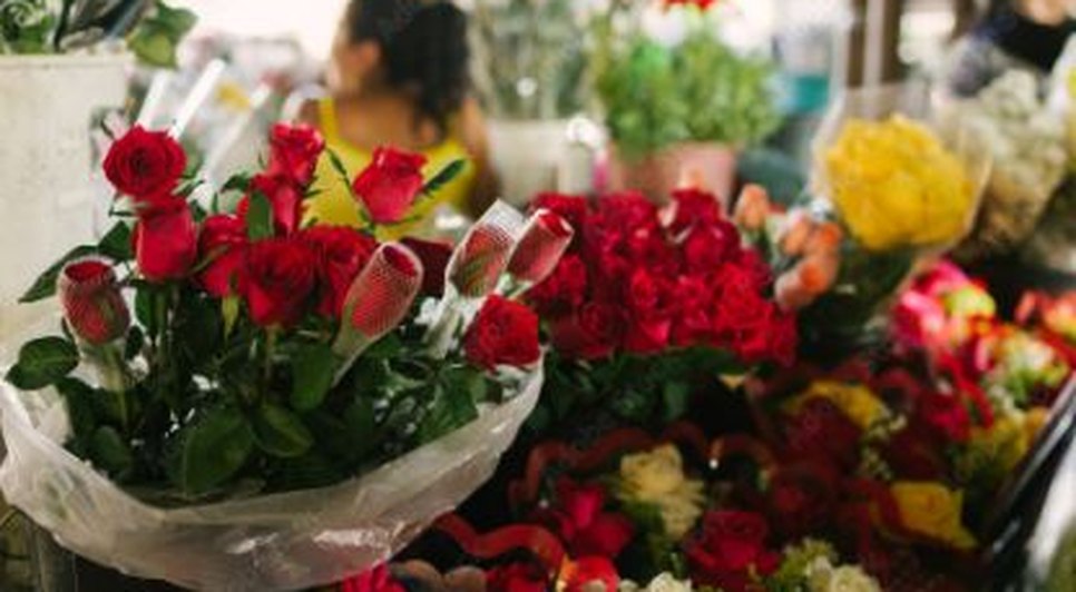 flores