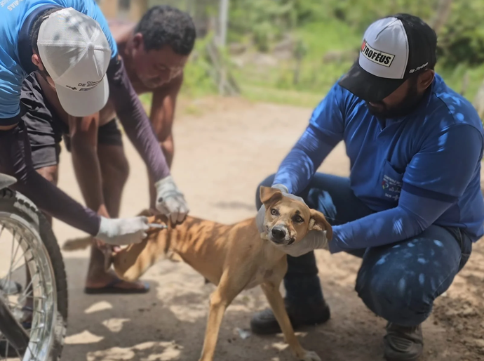 Campanha de Vacinação Antirrábica é iniciada em Santana do Ipanema