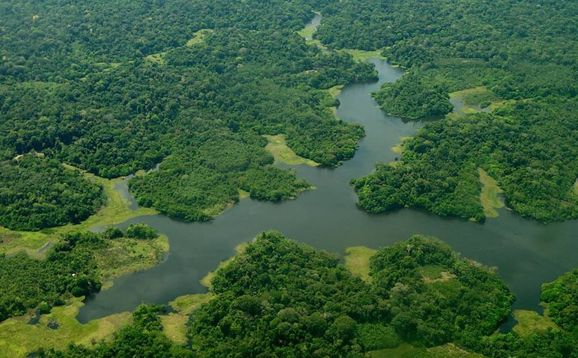 CMA analisa uso de arrecadação do petróleo para proteção da Amazônia