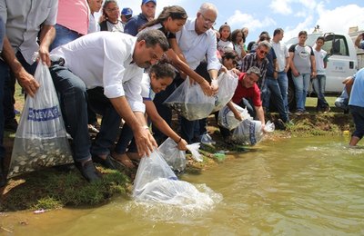 Lago da Perucaba recebe mais de 90 mil peixes em ação da prefeitura e Codevasf