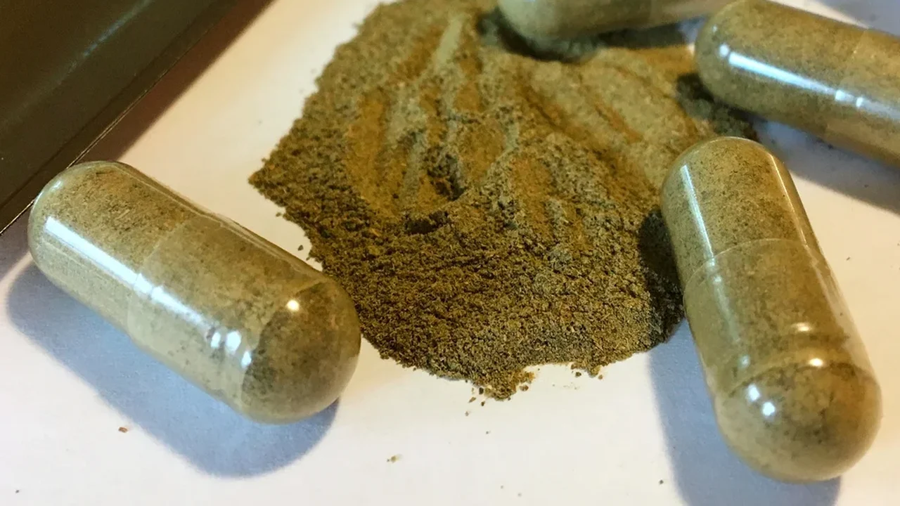 Mortes de estudantes na Universidade do Mississippi lançam luz sobre o kratom.