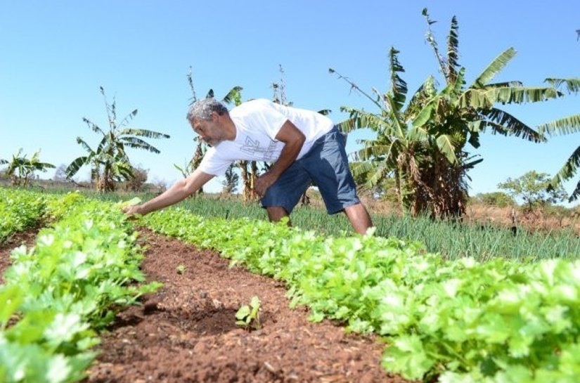 Iteral orienta agricultores sobre renegociação de dívidas do crédito fundiário