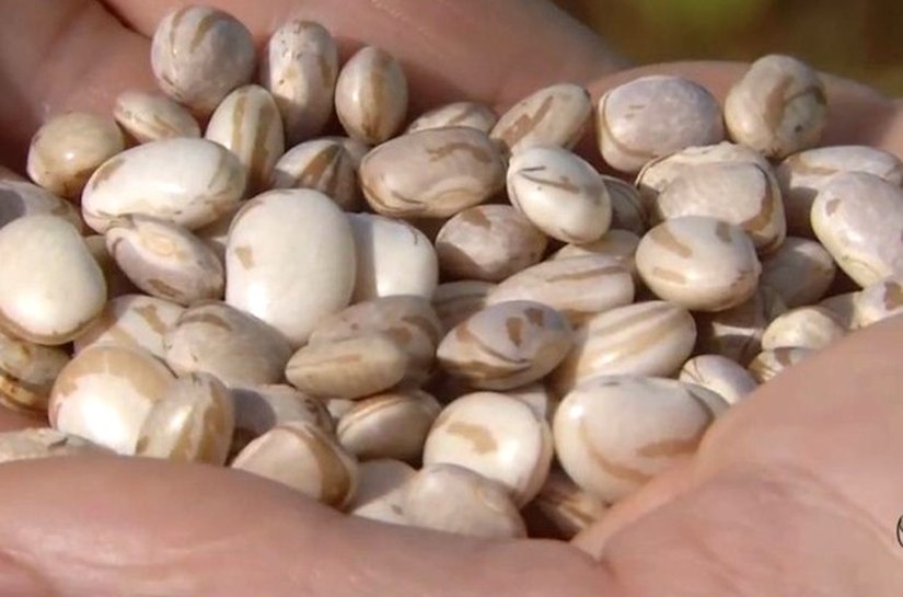 Preços ao consumidor registram alta em junho, conforme Seplag