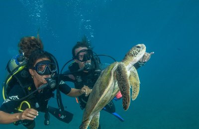 Noronha tem atrações e belezas além das praias 