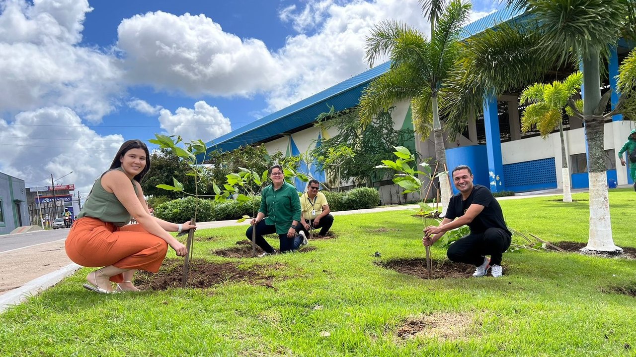 Dia do Meio Ambiente terá plantio de árvores e instalação de novas lixeiras em Arapiraca