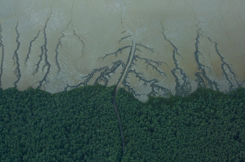 A Exploração de Petróleo na Amazônia e Seus Desafios