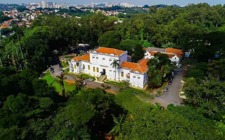 ‘O Butantan consegue produzir uma vacina em curto prazo para gripe aviária’, diz virologista