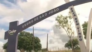 Cedro / Foto: Reprodução: Alese
