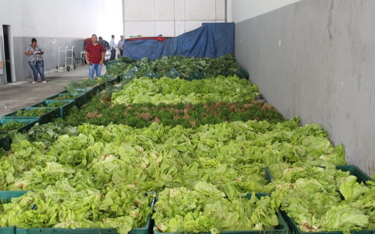 Agricultores e entidades podem se inscrever para o programa de aquisição de alimentos 2020