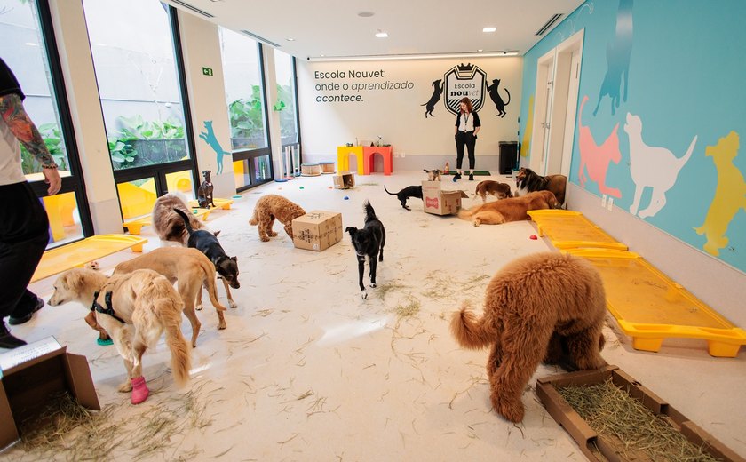 Escolas promovem bem-estar e qualidade de vida para os cães