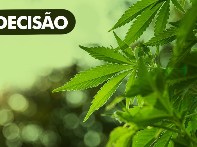 Justiça absolve idoso portador de câncer por uso de maconha para fins medicinais