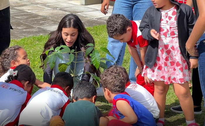 Esse crescimento representa cerca de 7% de recomposição de área verde