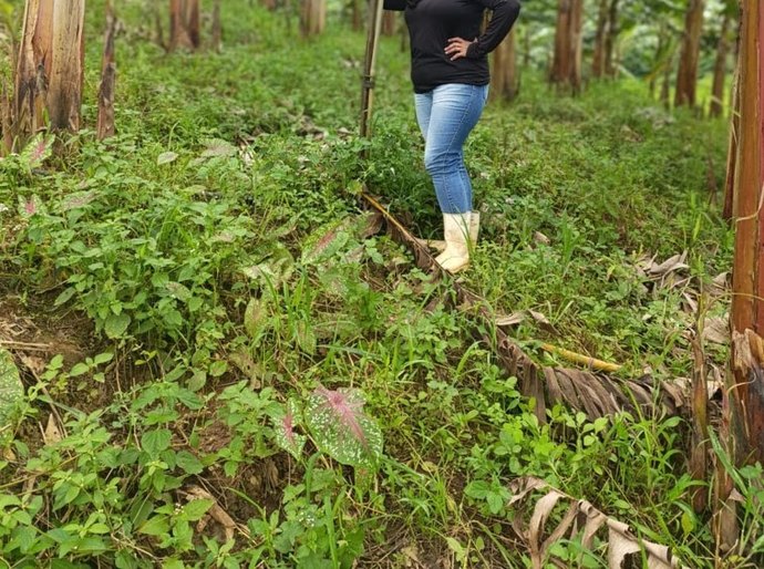 Banco do Nordeste financia R$ 291 milhões para mulheres alagoanas à frente de empreendimentos rurais em 2025