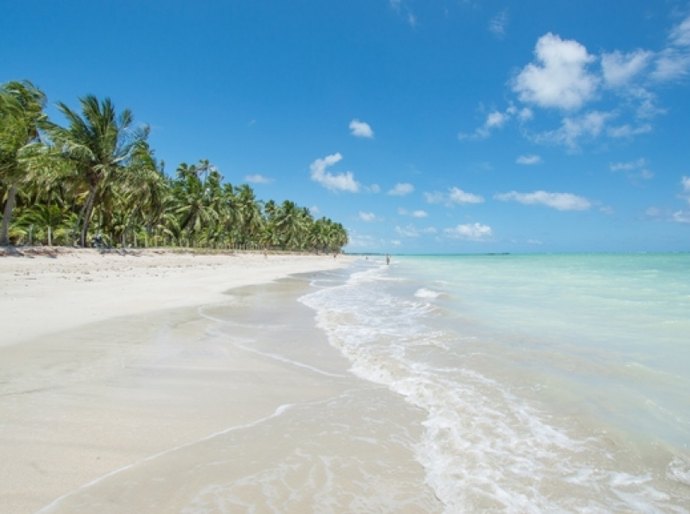 Três praias alagoanas estão entre as 25 melhores do país