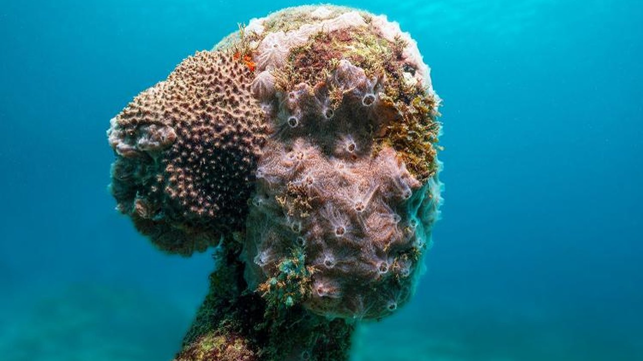 Conheça o museu subaquático que serve de proteção a corais no Caribe colombiano