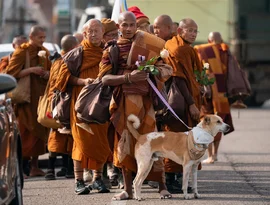 Monges budistas e seu cão cativam americanos enquanto caminham pela paz