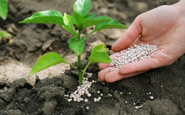 Comissão da transição energética debate produção de fertilizantes