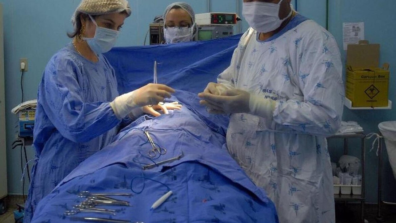 🫁 Pulmão de porco transplantado para humano permanece funcional por 9 dias