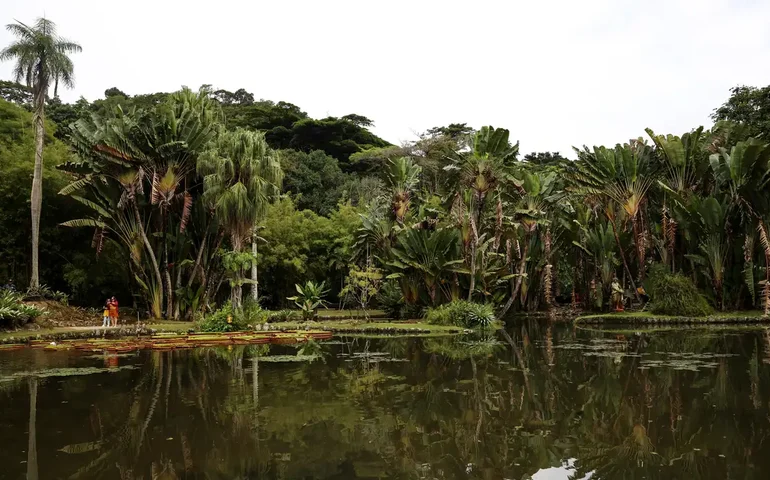 Casal é preso por dopar macacos no Jardim Botânico do Rio