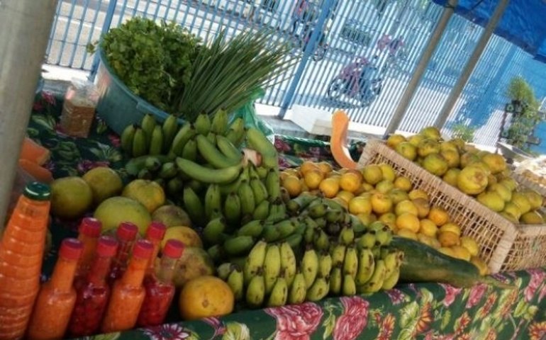 Agricultura promove sexta-feira (7) 16ª edição da Feira Orgânica em Maceió