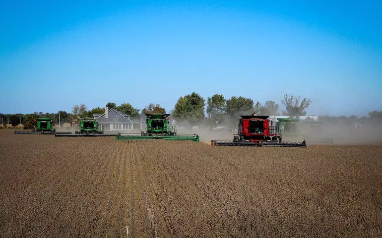 Funai e Ibama abrem espaço para produção agrícola entrar em terra indígena