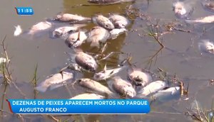 MORTANDADE PEIXES