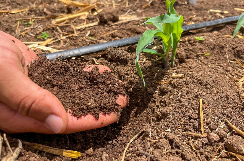 Alagoas foi o primeiro estado do Nordeste a lançar Plano de Agricultura de Baixo Carbono