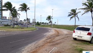 adema vistoria local onde cobra foi vista 