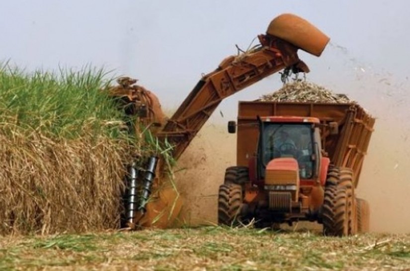Seagri anuncia medida para incentivo de políticas agrárias canavieiras
