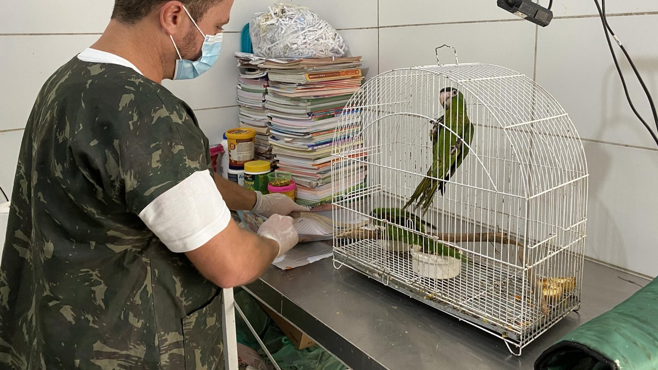 IMA arrecada mais de 200 kg de doações para o cuidado de animais silvestres resgatados