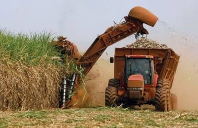 Agricultura anuncia nova medida para o incentivo de políticas agrárias canavieiras no Estado