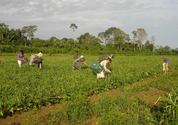 Grupo de trabalho destaca ampliação da agricultura familiar