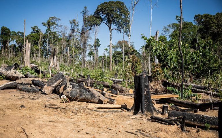 Decisões da COP30 repercutem positivamente entre deputados