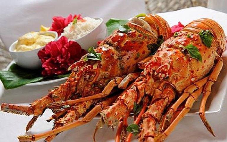 Maragogi promove a 5ª edição do Festival da Lagosta