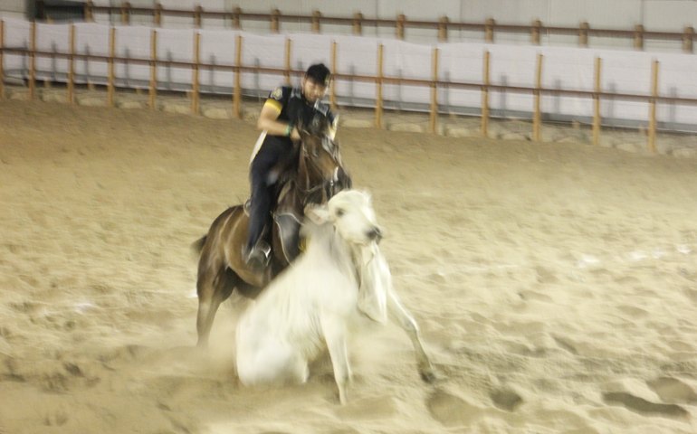 Vaquejada do Milhão movimentou cerca  R$ 30 milhões