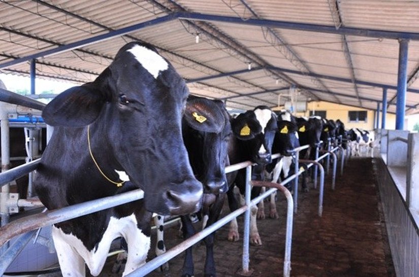 Com nova base de referência, PIB alagoano atinge R$ 37,2 bi em 2013