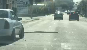 Motorista é flagrado jogando santinhos nas ruas durante votação em Aracaju