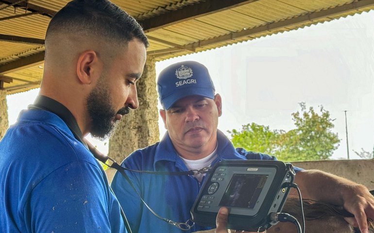 Secretaria de Agricultura abre inscrições para capacitação em diagnóstico gestacional de bovinos
