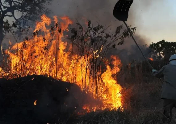 Incêndio florestal forma 'corredor de fogo' em rodovia no Pantanal; vídeo