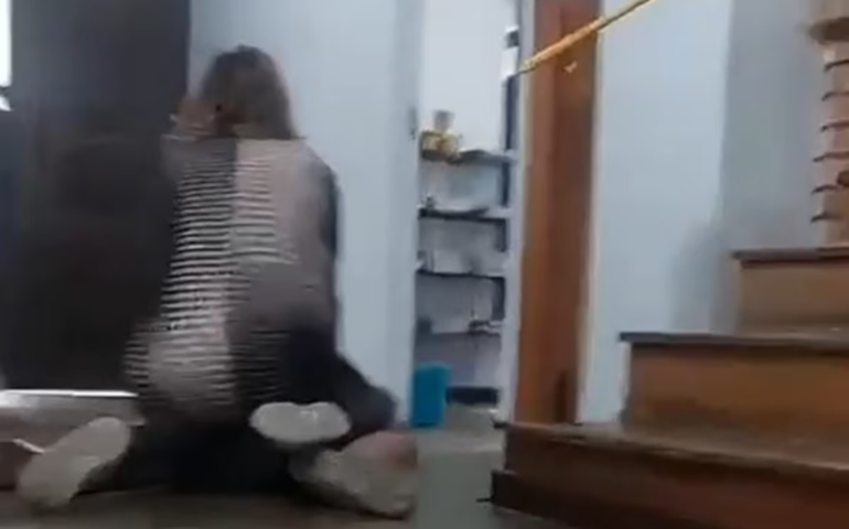 Diretora de escola imobiliza, senta em cima e estapeia criança autista de seis anos em Campinas