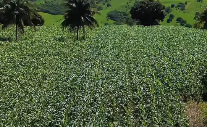 SEMDAGRO