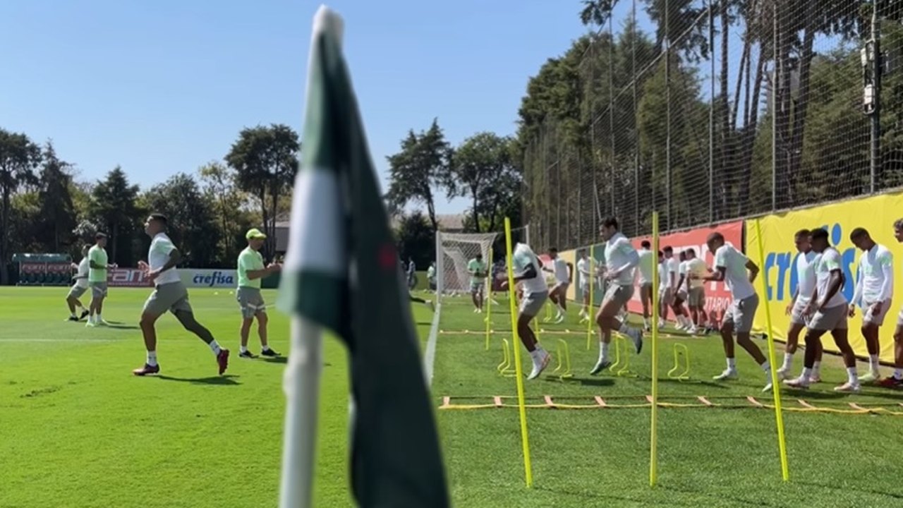 Palmeiras ultrapassa Botafogo em chances de título do Brasileirão; veja probabilidades