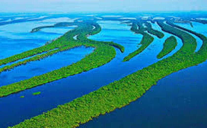 USAID investe 17,8 milhões de dólares em conservação na Amazônia