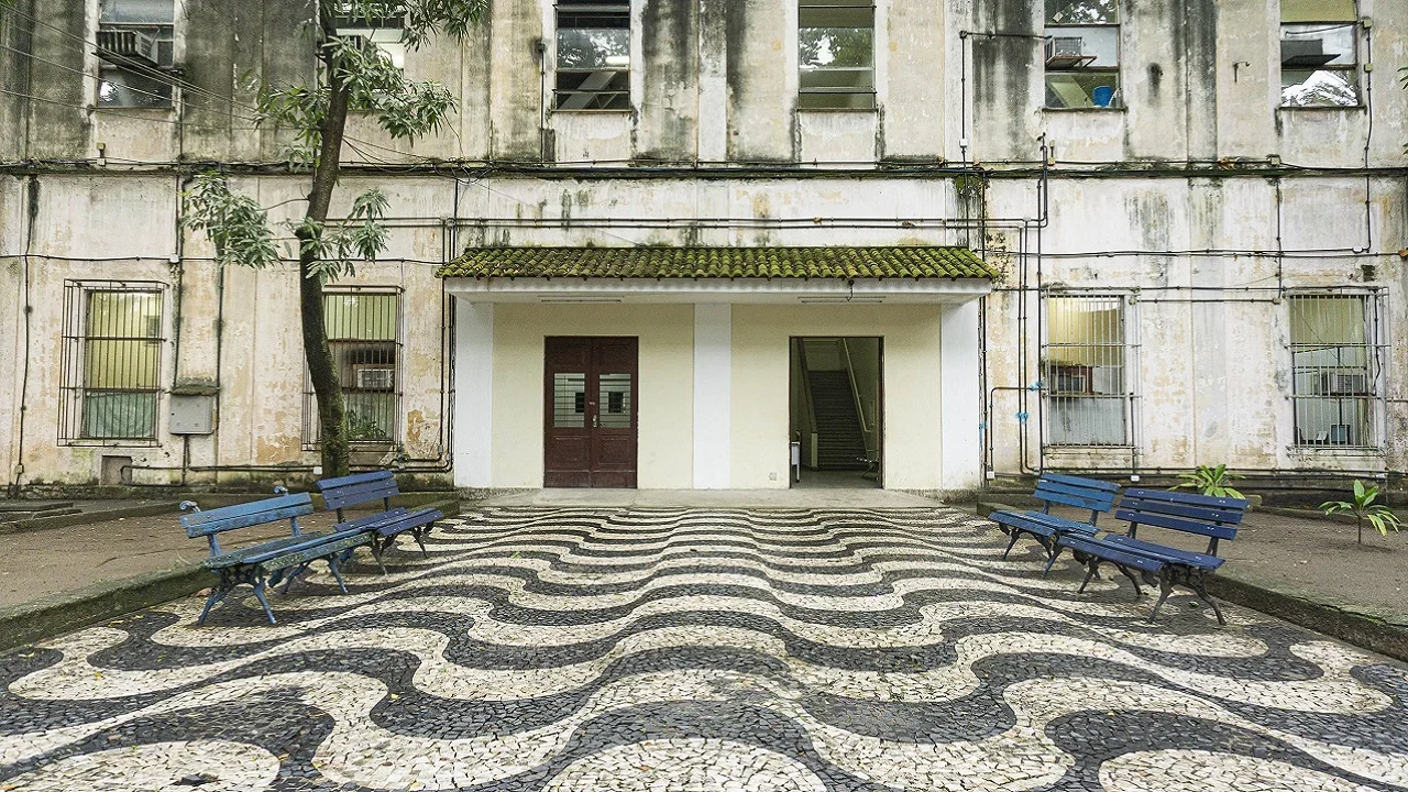 Luta antimanicomial: Instituto Nise da Silveira completa 5 anos sem internações psiquiátricas