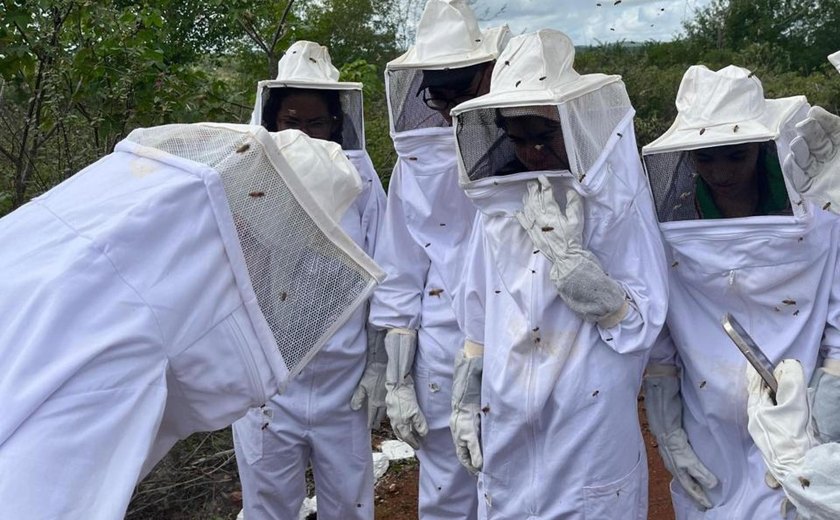 Centro Xingó conclui capacitação técnica em apicultura para alunos do Ifal em Piranhas