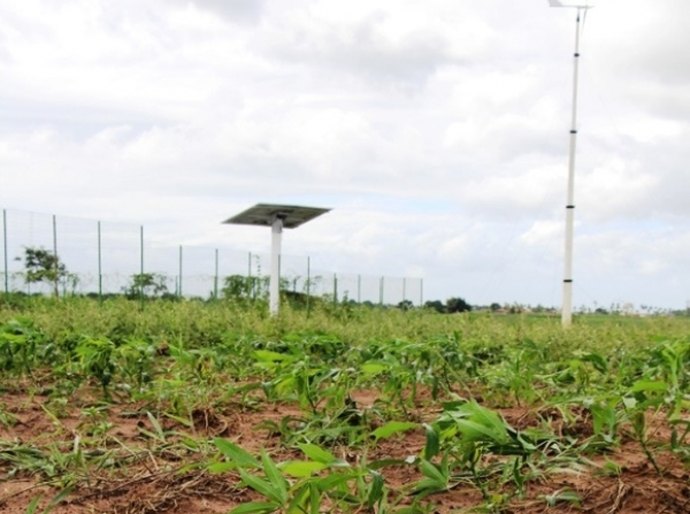 Projeto apoiado pela Fapeal ganha continuidade em Arapiraca