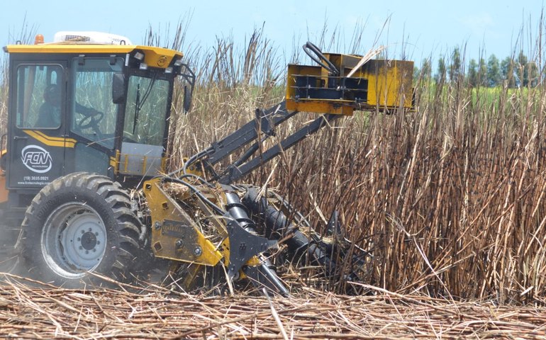 Governo comemora previsão de safra 23/24 da cana-de-açúcar, que deve superar 19 milhões de toneladas
